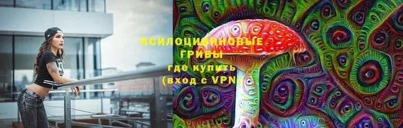 Галлюциногенные грибы MAGIC MUSHROOMS  Лермонтов 